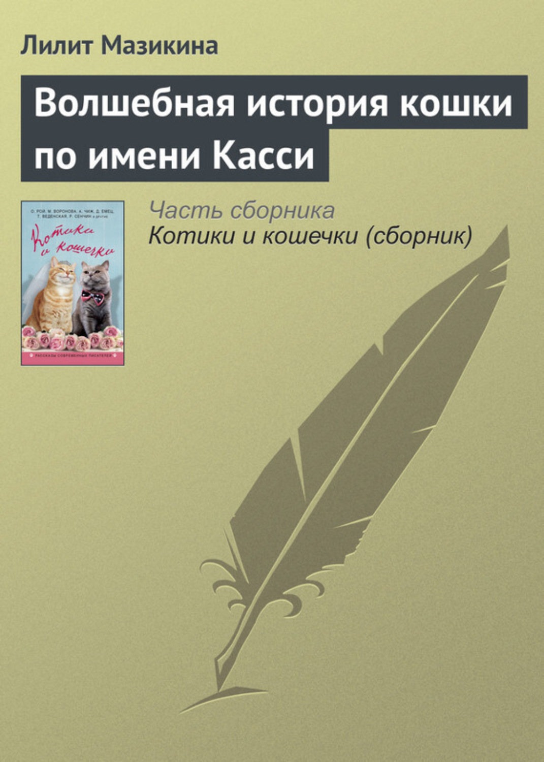 Обложка книги «Волшебная история кошки по имени Касси»