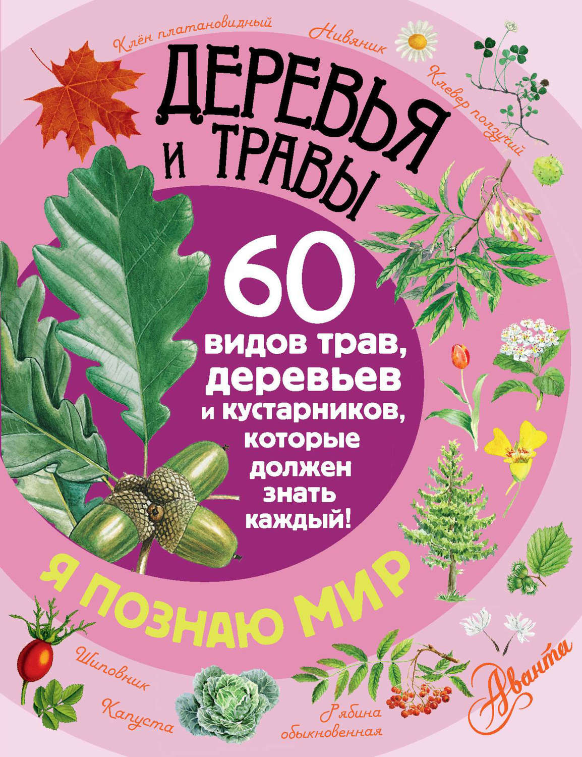 Обложка книги «Деревья и травы. 60 видов трав, деревьев и кустарников, которые должен знать каждый»