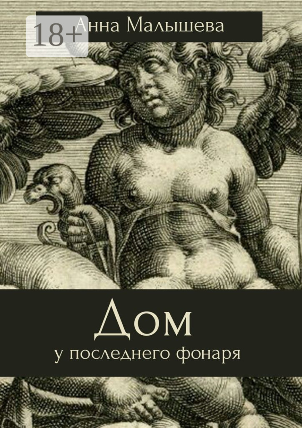 Обложка книги «Дом у последнего фонаря»