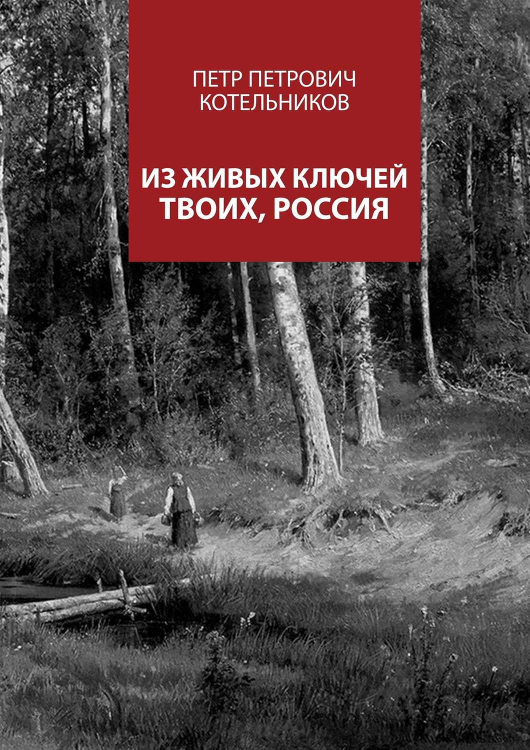 Обложка книги «Из живых ключей твоих, Россия»