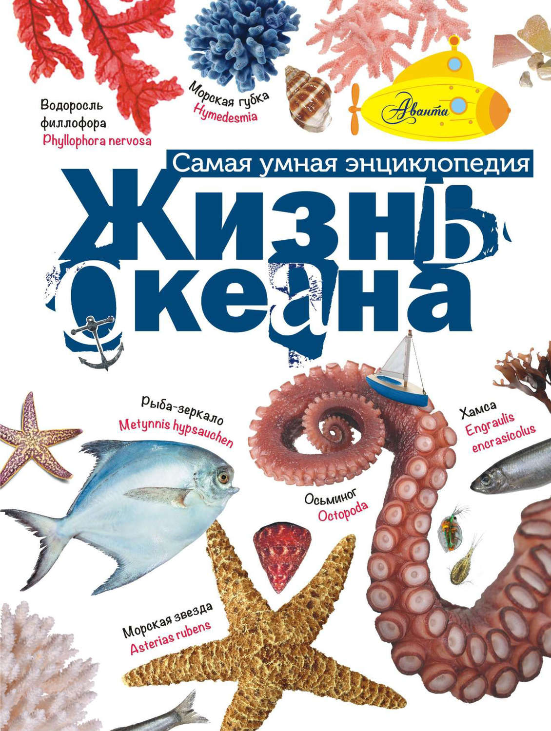 Обложка книги «Жизнь океана»