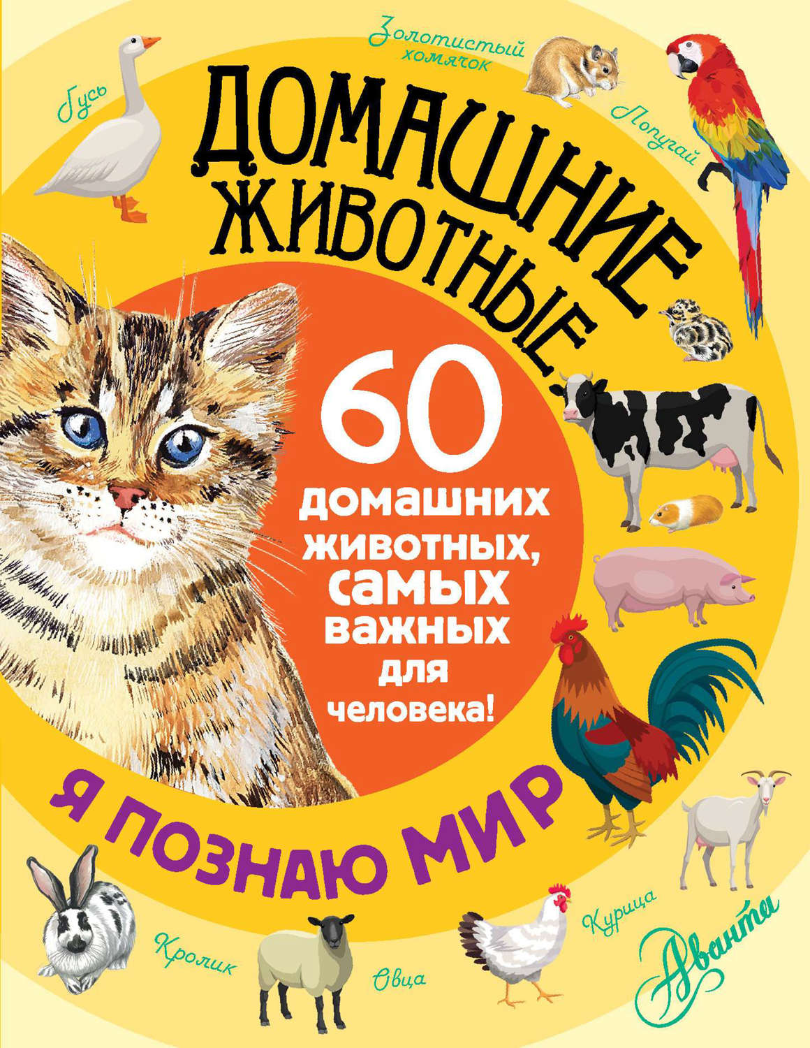 Обложка книги «Домашние животные. 60 домашних животных, самых важных для человека!»