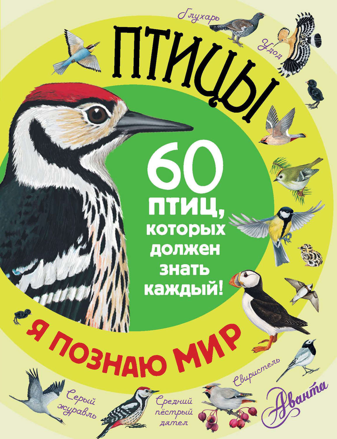 Обложка книги «Птицы. 60 птиц, которых должен знать каждый»