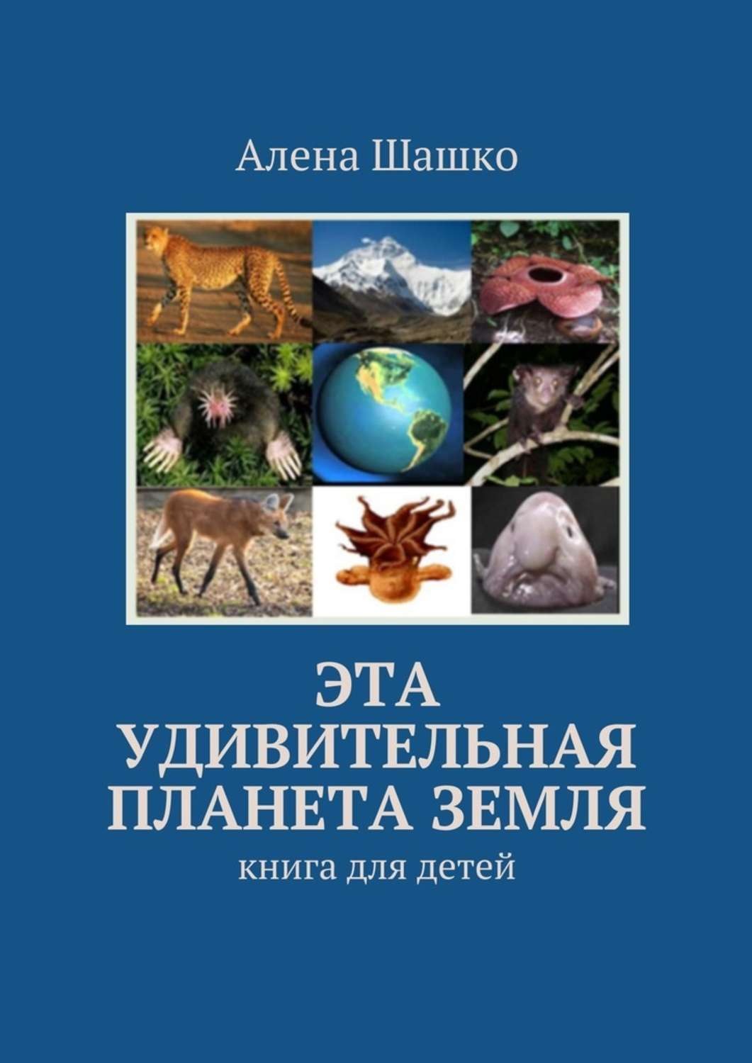 Обложка книги «Эта удивительная планета Земля. Книга для детей»
