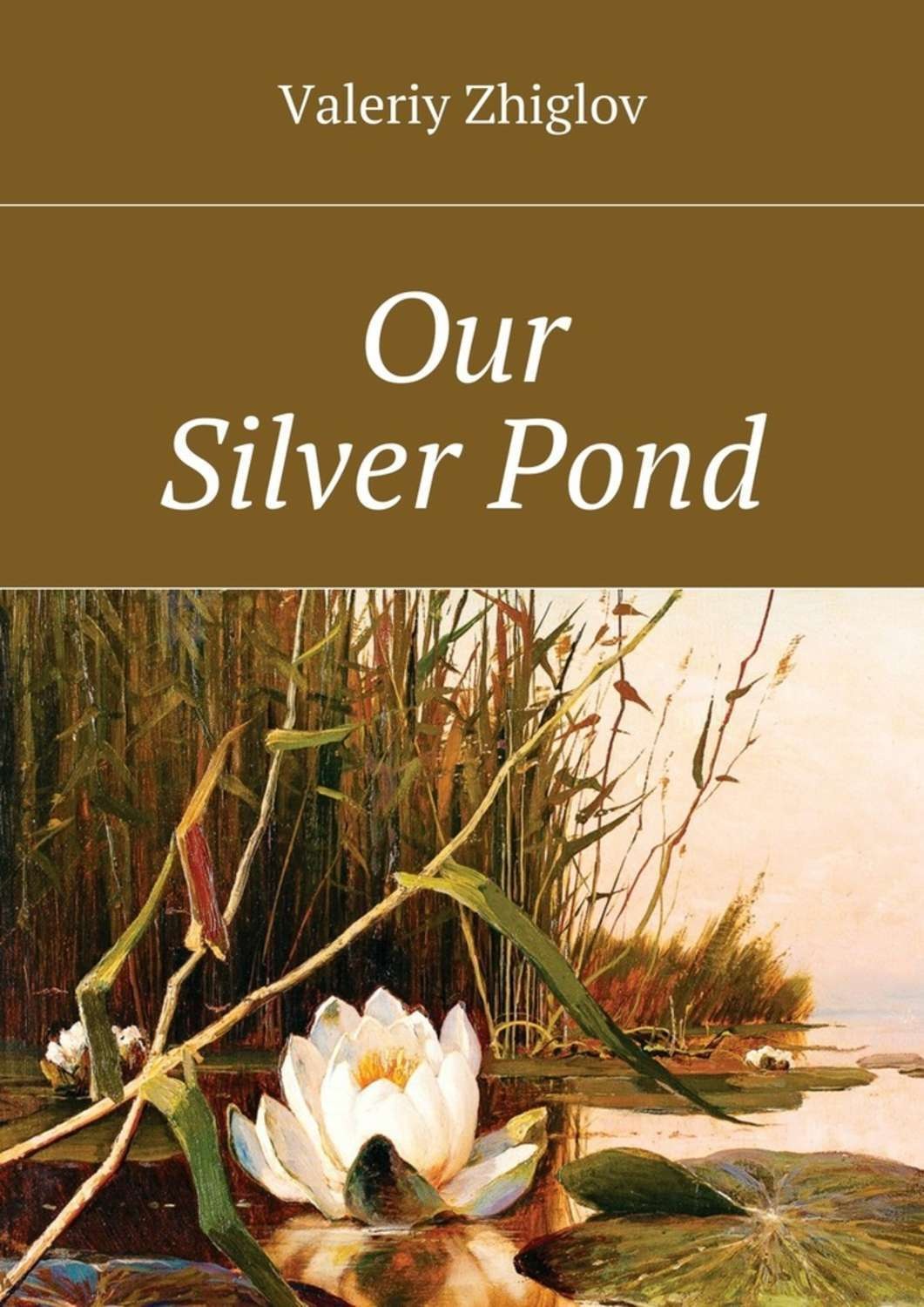 Обложка книги «Our Silver Pond»