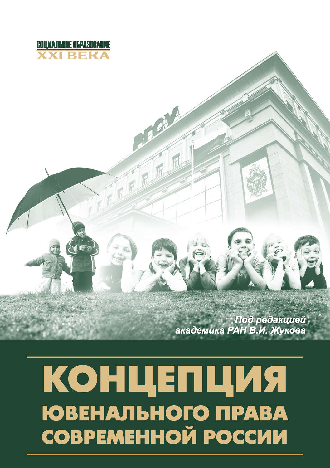 Обложка книги «Концепция ювенального права современной России»