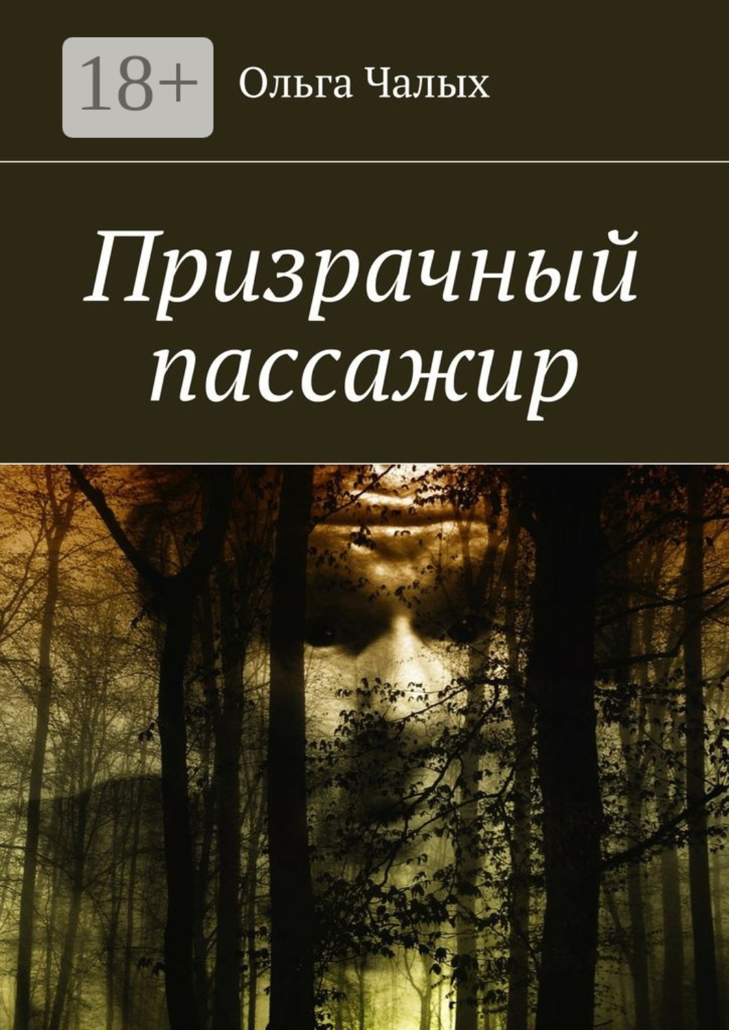 Обложка книги «Призрачный пассажир»
