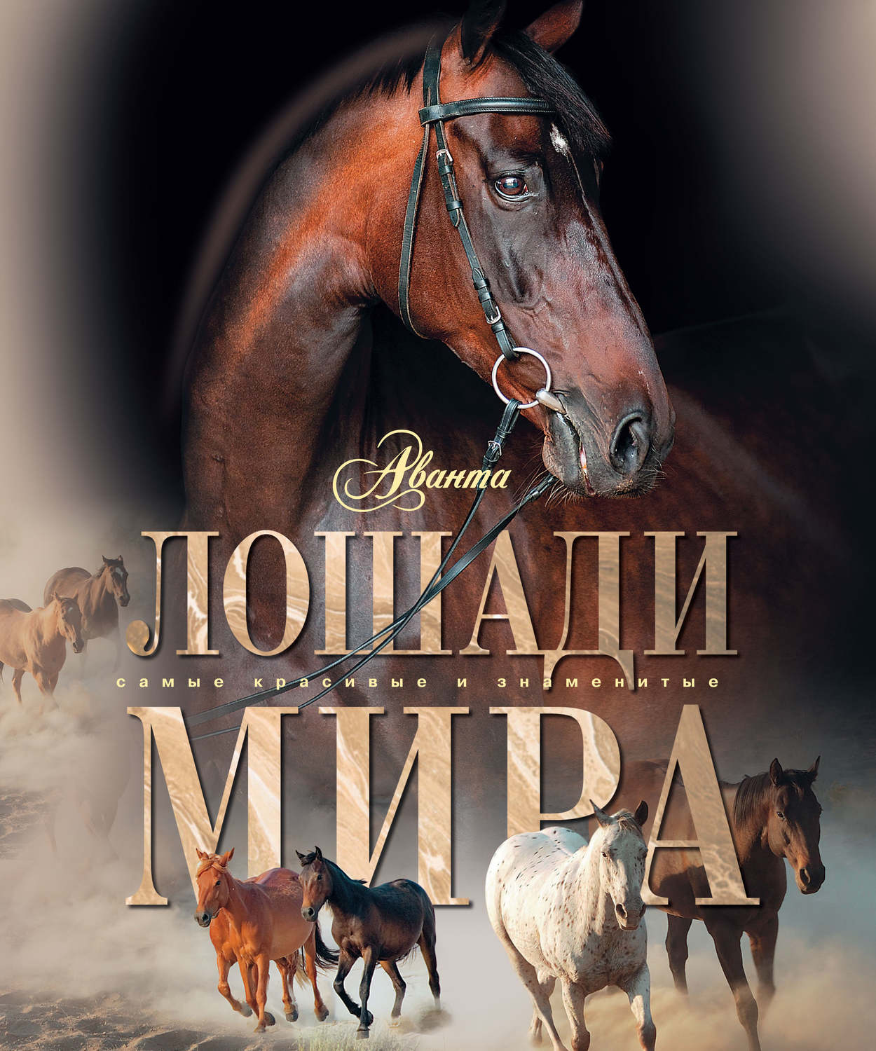 Обложка книги «Лошади мира»