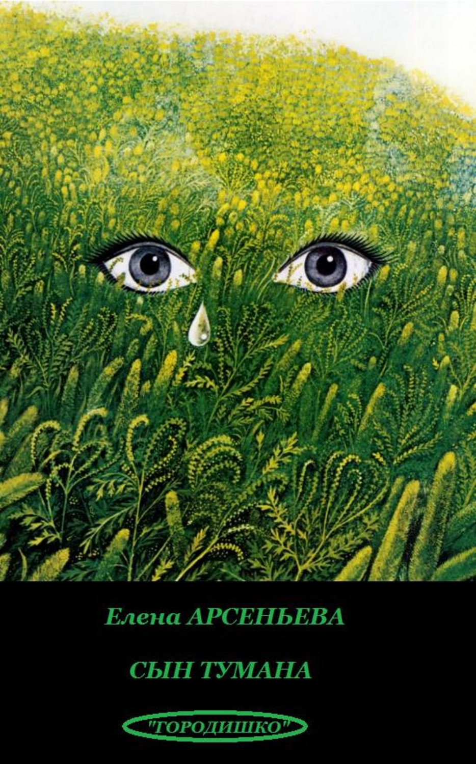 Обложка книги «Сын тумана»