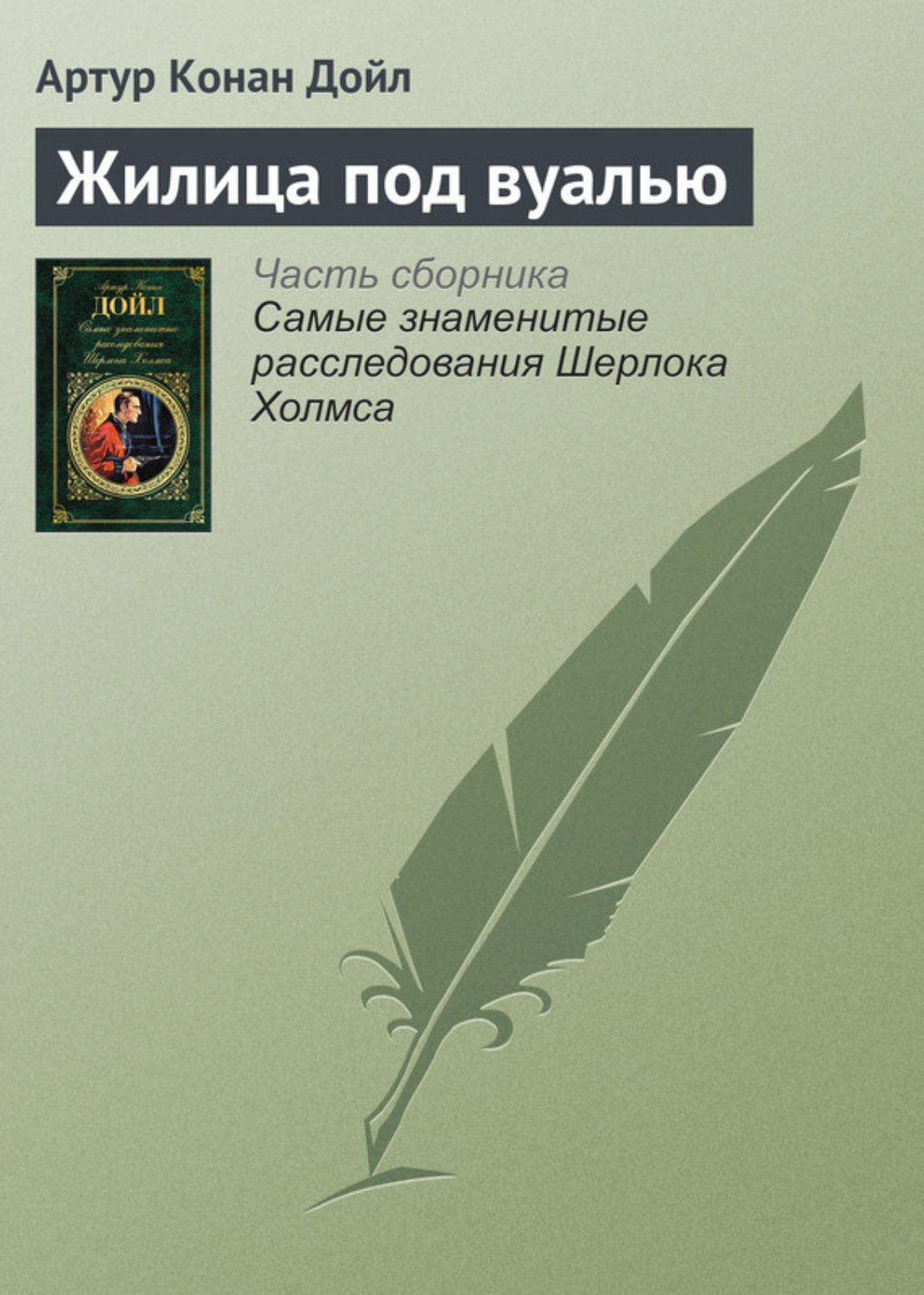 Обложка книги «Жилица под вуалью»