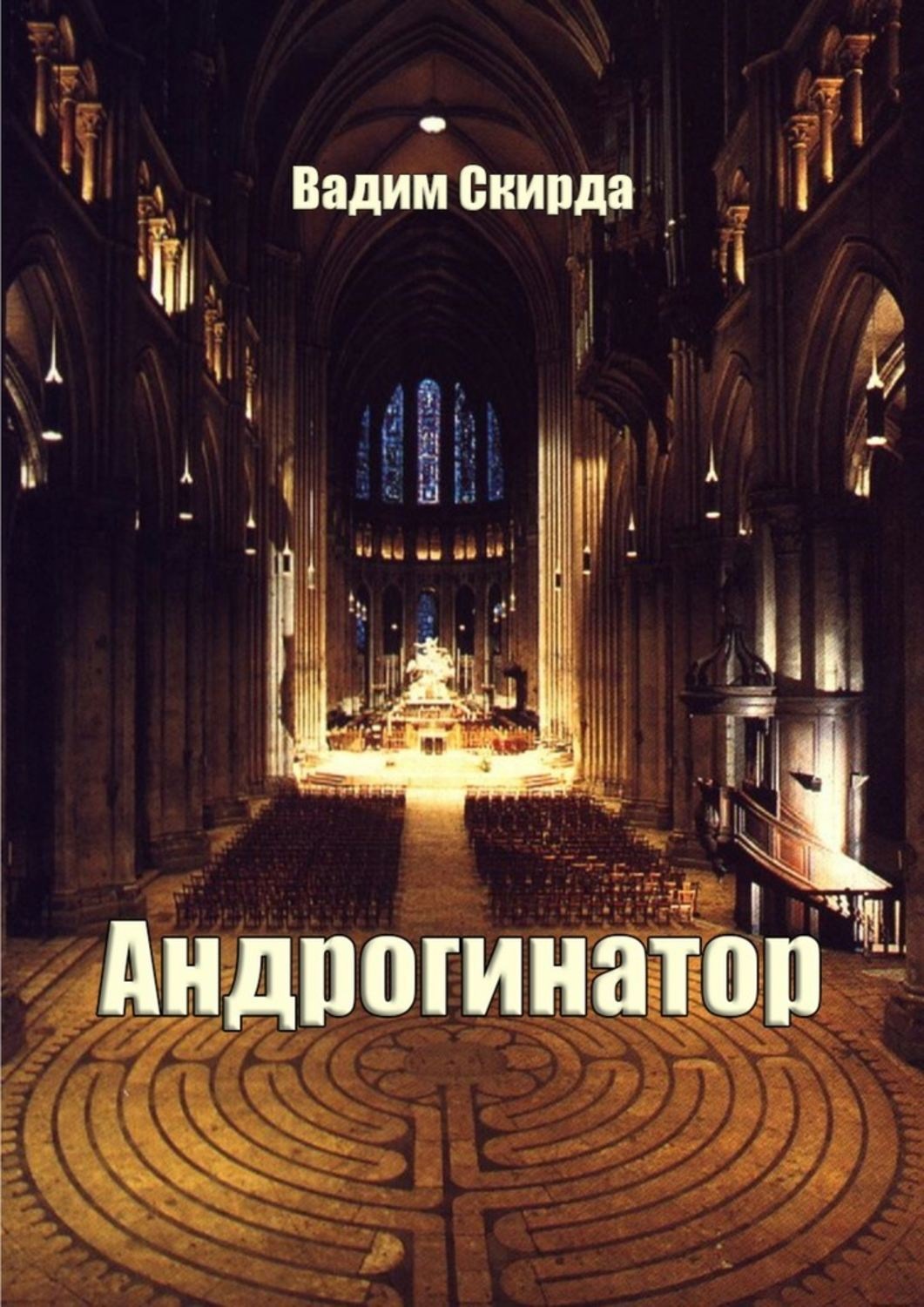 Обложка книги «Андрогинатор»