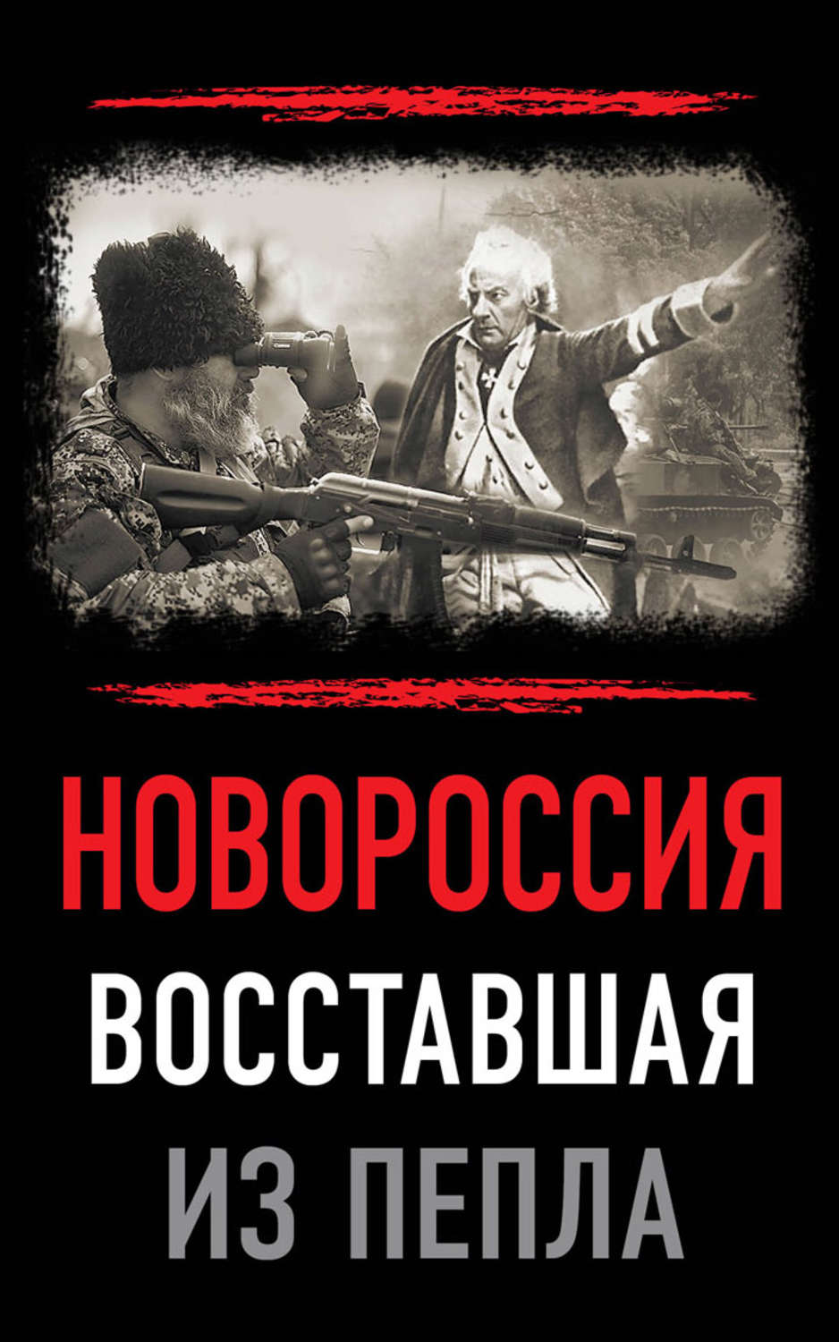 Обложка книги «Новороссия. Восставшая из пепла»