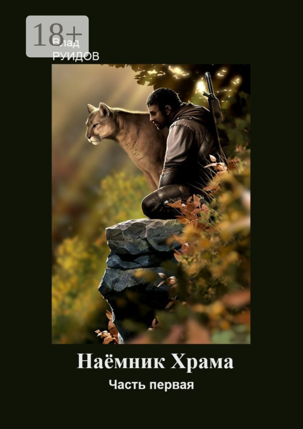 Обложка книги «Наёмник храма»