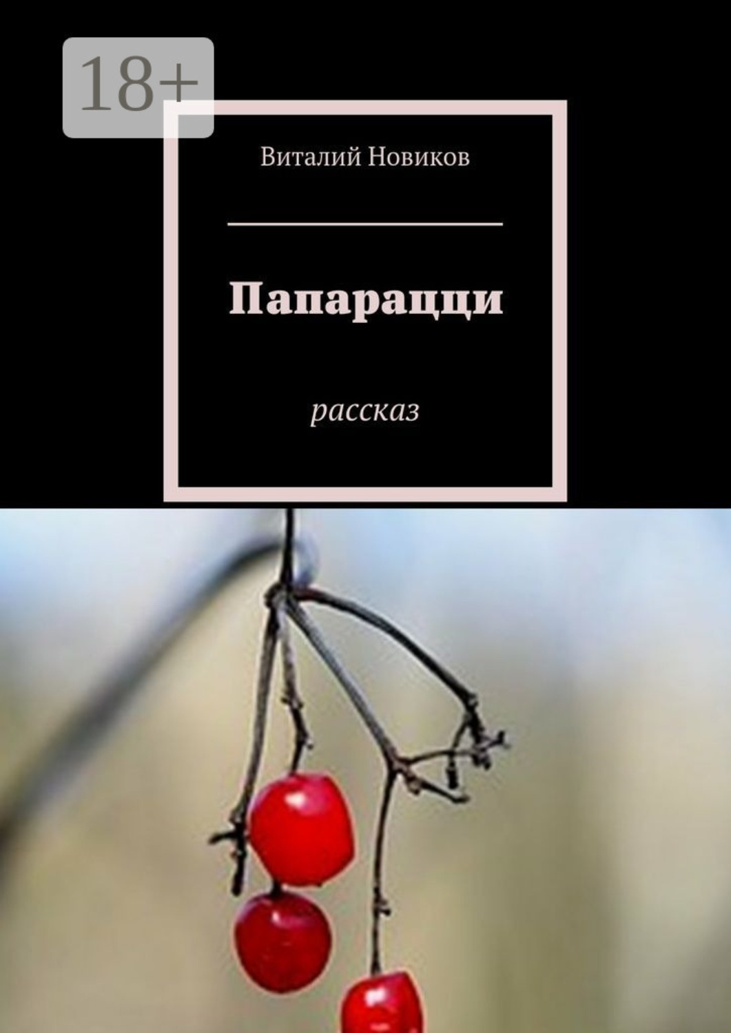Обложка книги «Папарацци. Рассказ»