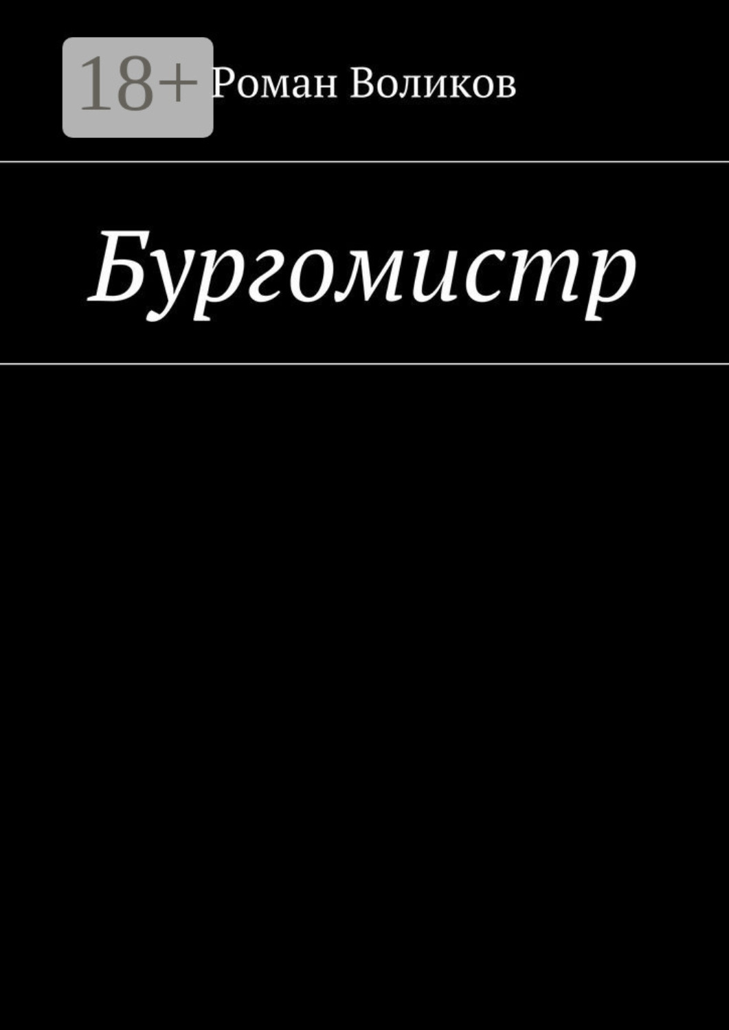 Обложка книги «Бургомистр»