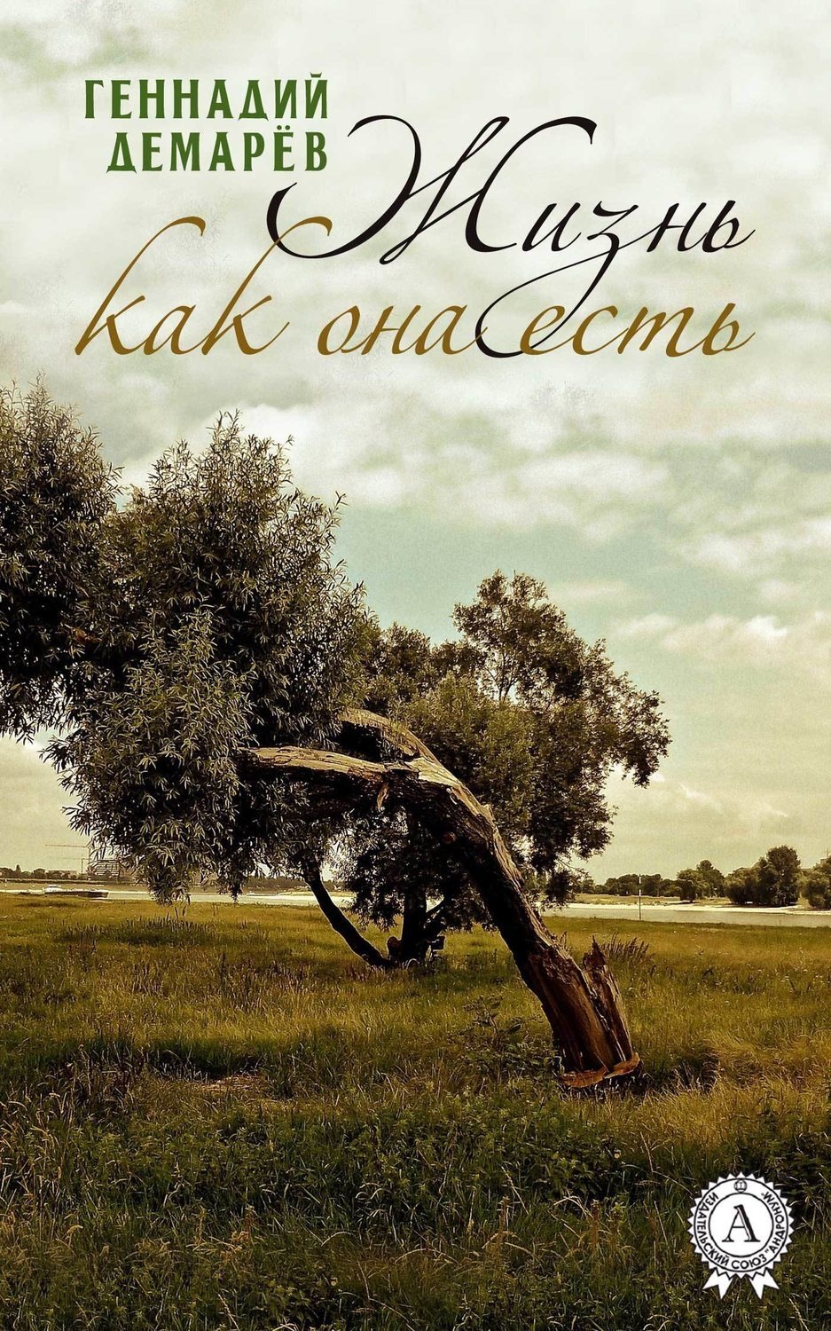 Обложка книги «Жизнь как она есть»