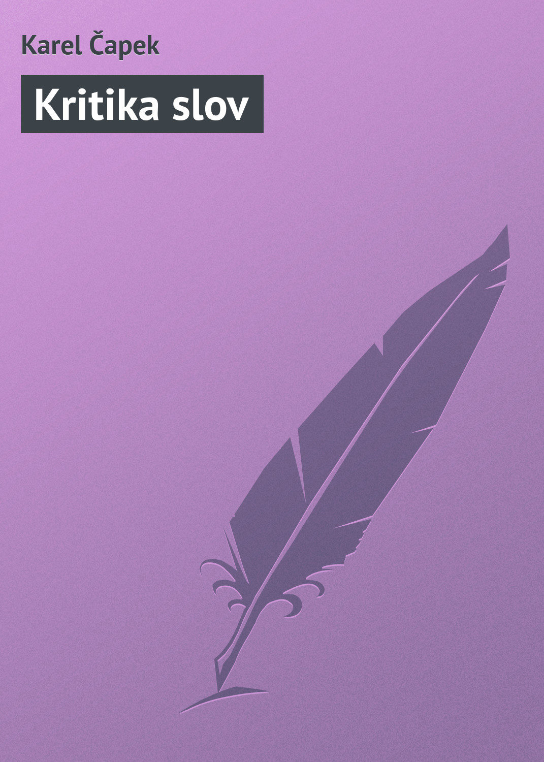Обложка книги «Kritika slov»
