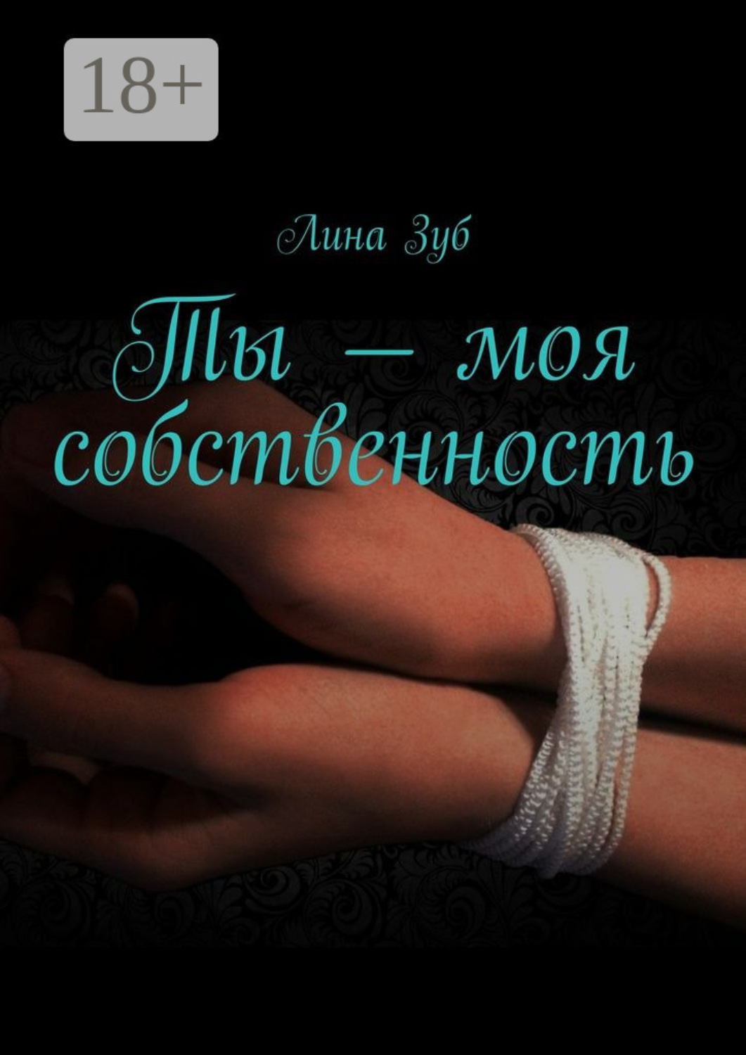 Обложка книги «Ты – моя собственность»