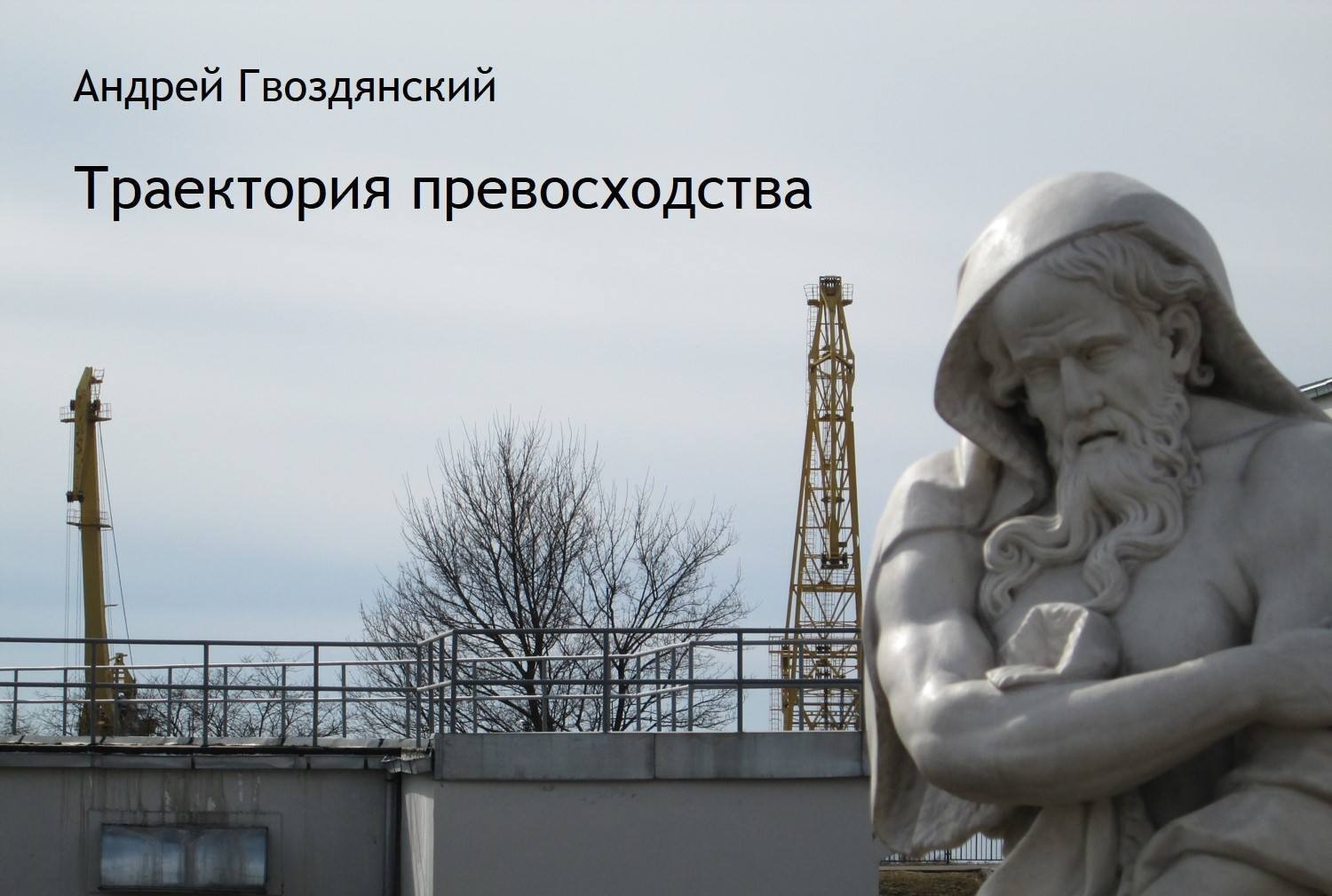Обложка книги «Траектория превосходства»