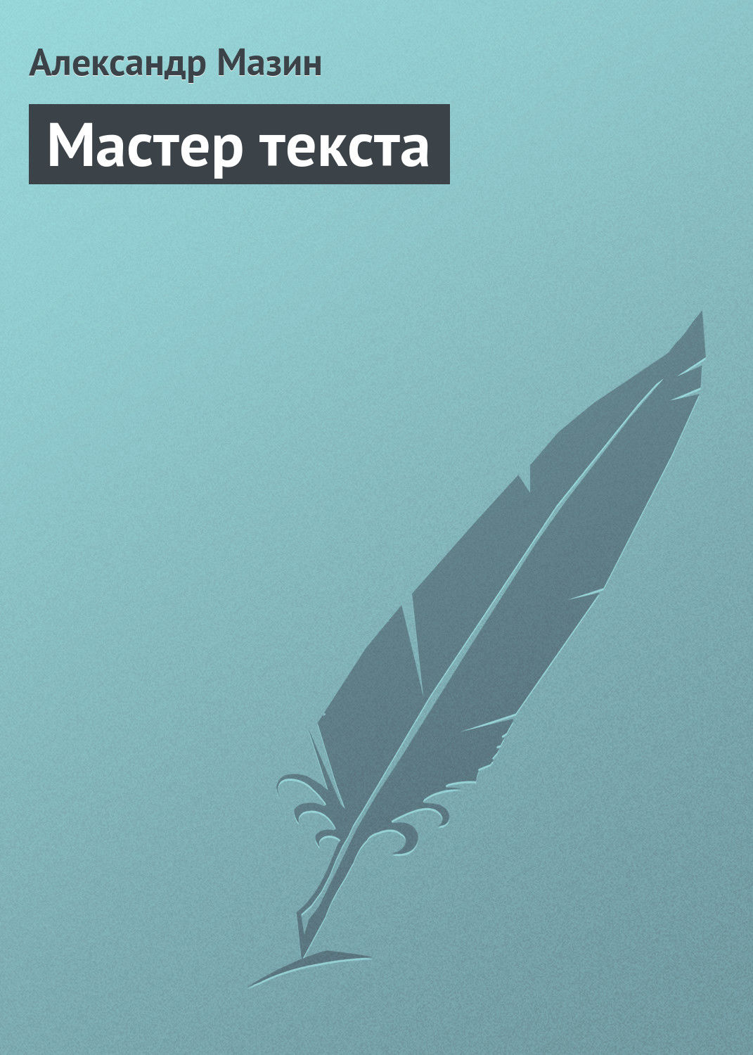 Обложка книги «Мастер текста»
