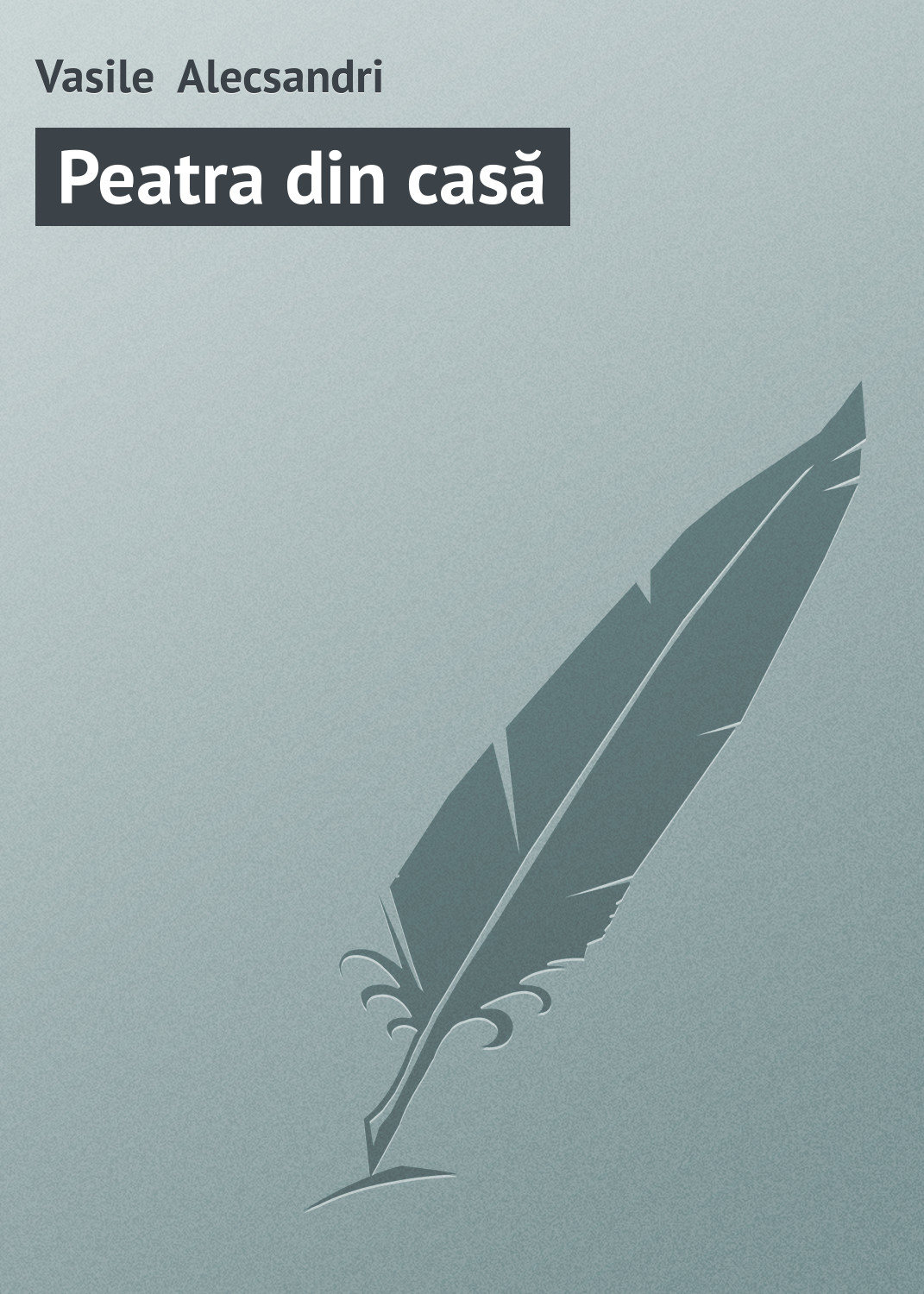 Обложка книги «Peatra din casă»