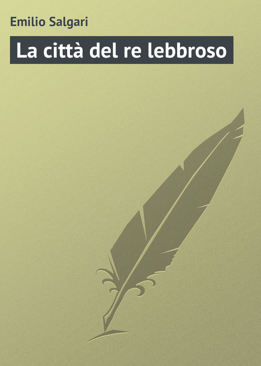 Обложка книги «La città del re lebbroso»