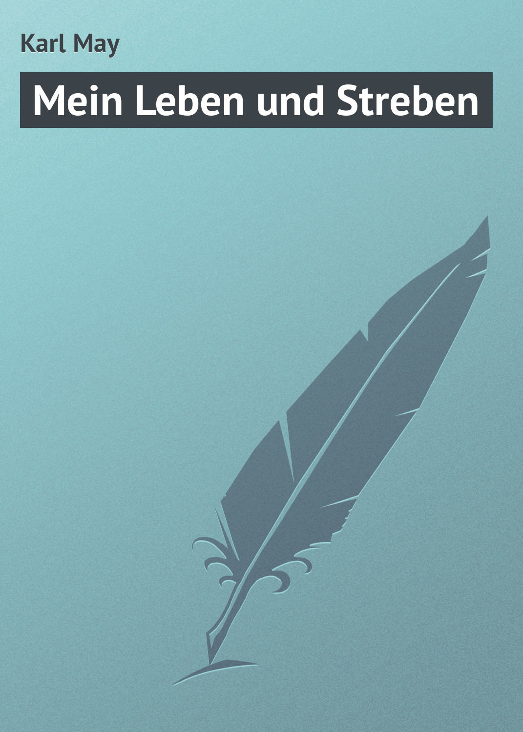 Обложка книги «Mein Leben und Streben»