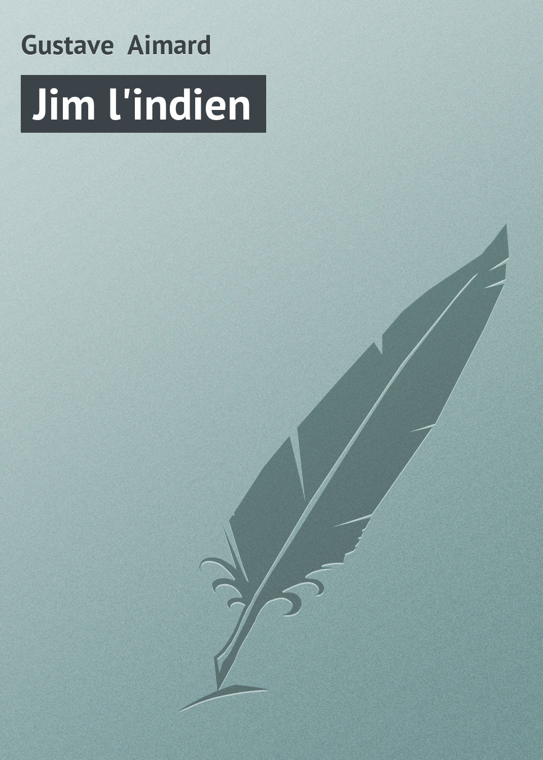 Обложка книги «Jim l'indien»