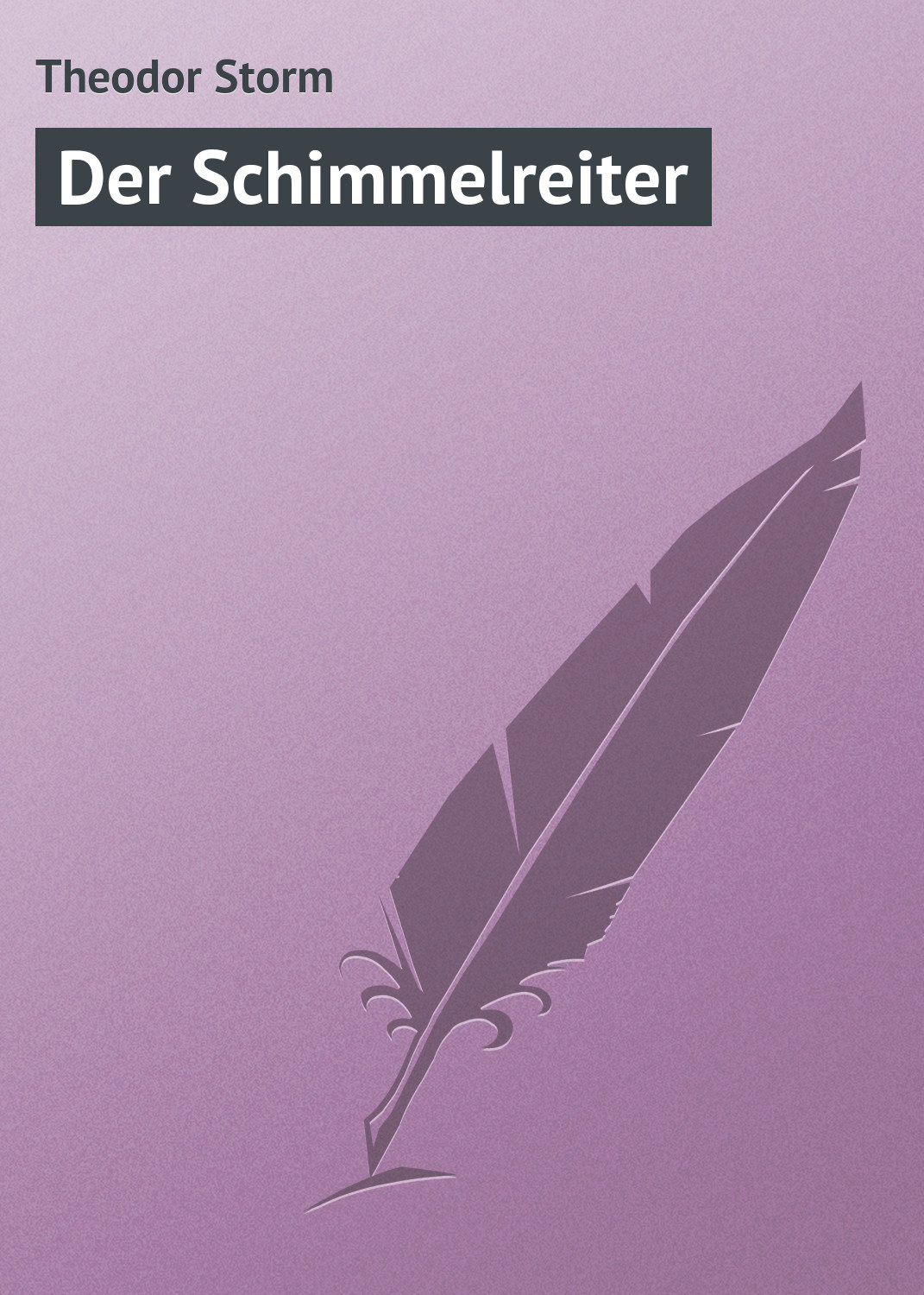 Обложка книги «Der Schimmelreiter»