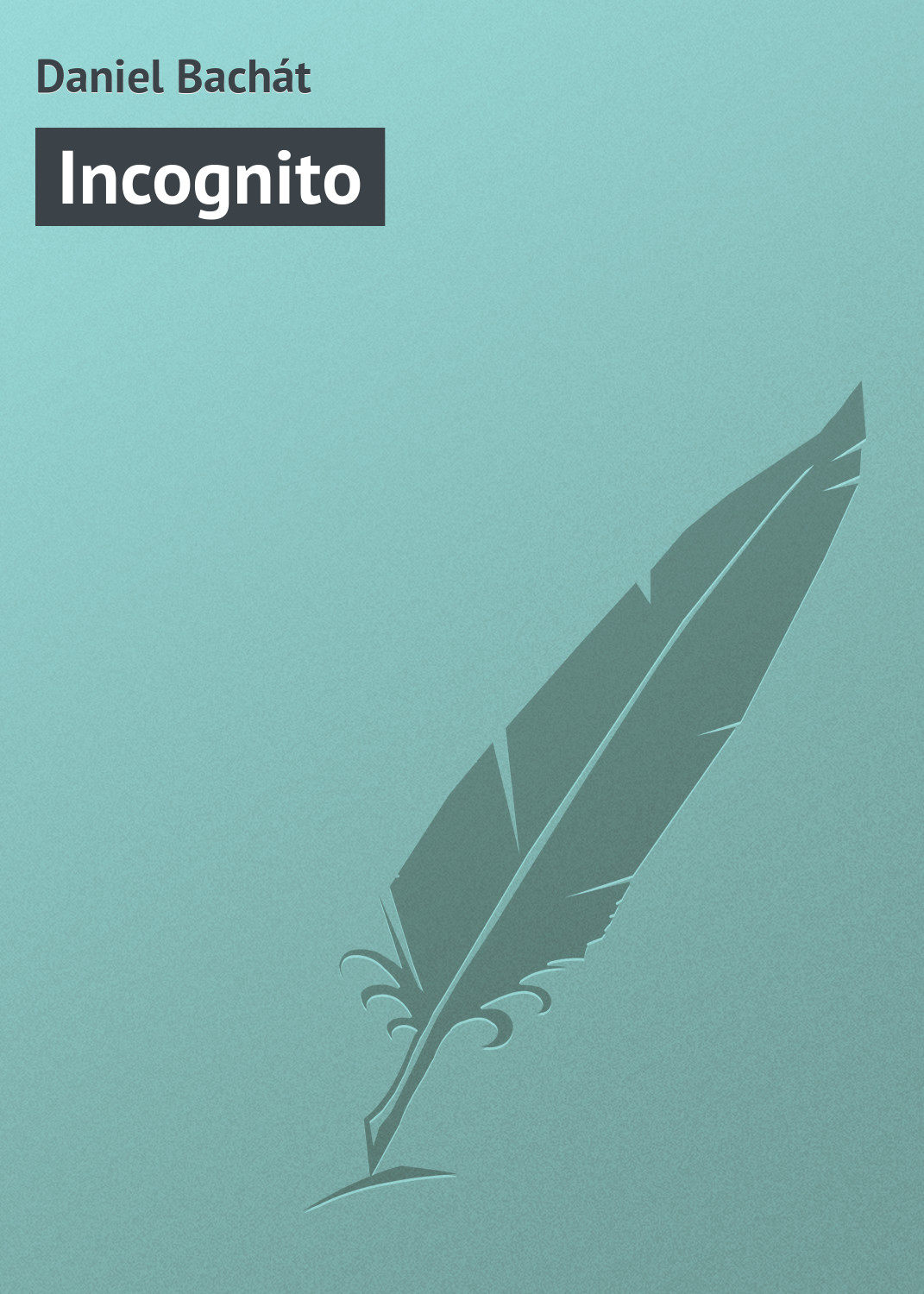 Обложка книги «Incognito»