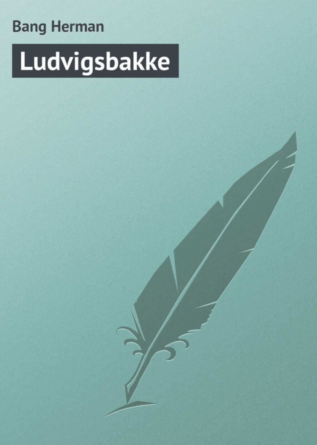 Обложка книги «Ludvigsbakke»