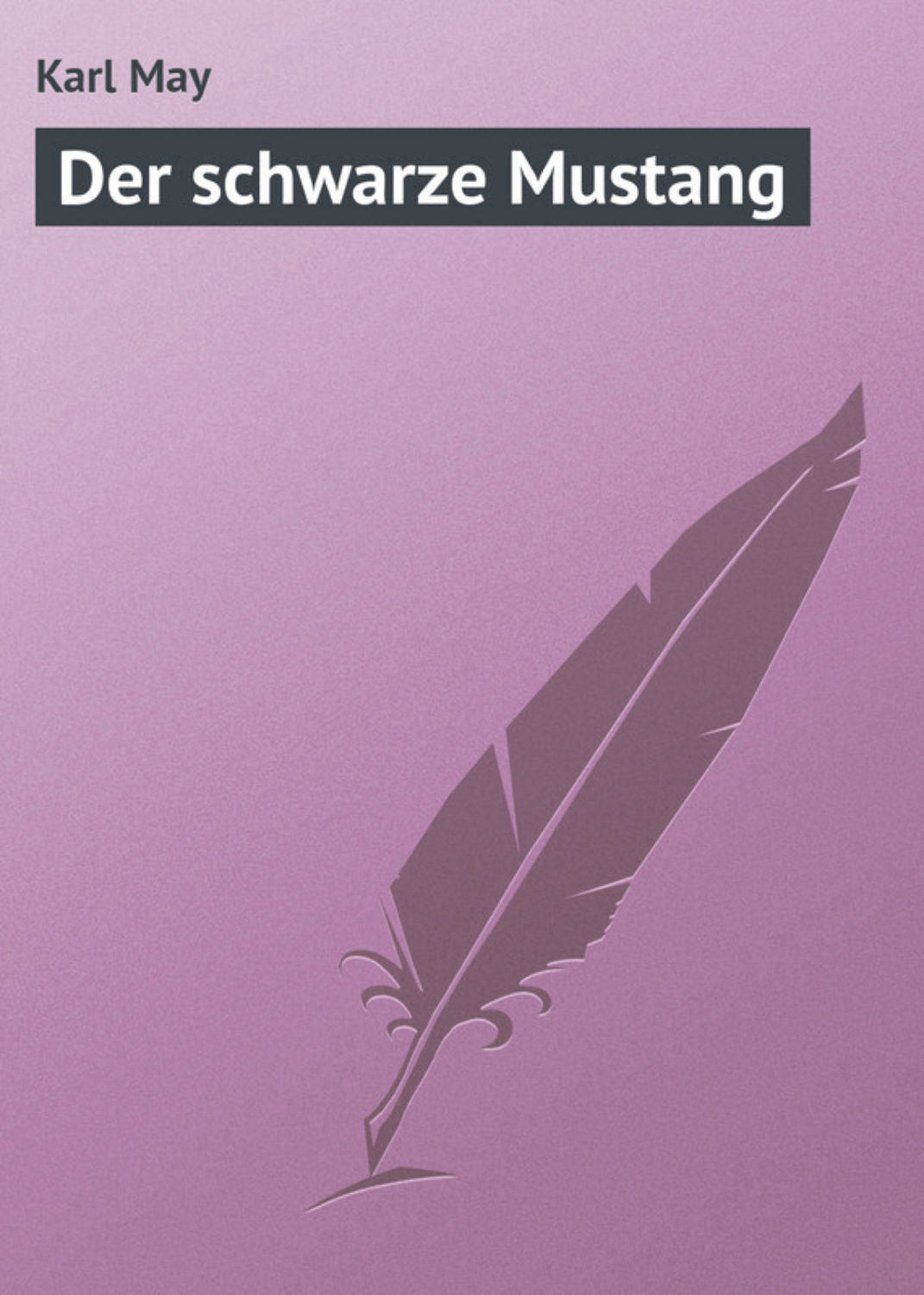 Обложка книги «Der schwarze Mustang»