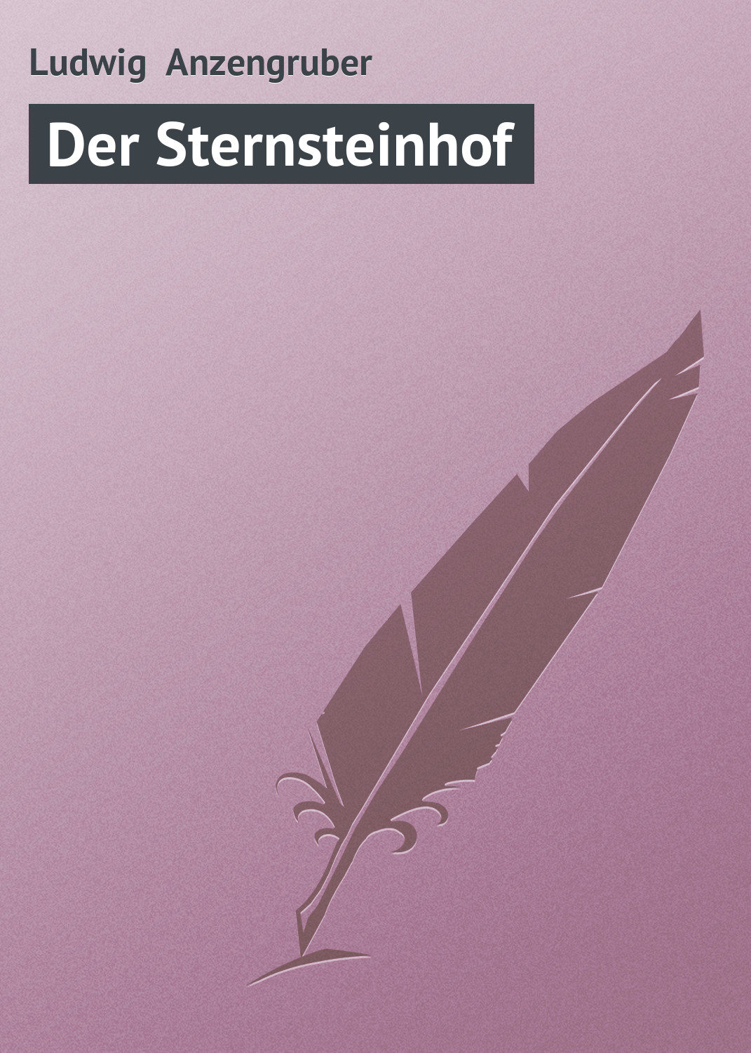 Обложка книги «Der Sternsteinhof»