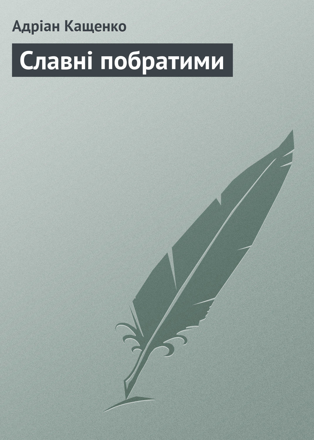 Обложка книги «Славні побратими»