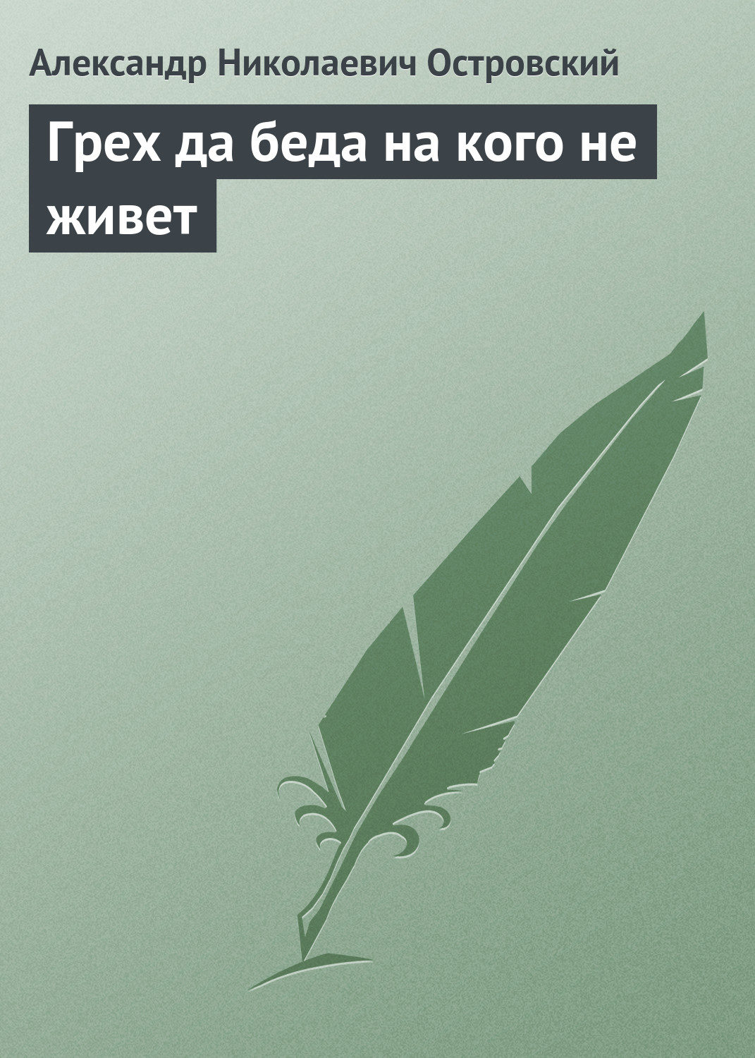 Обложка книги «Грех да беда на кого не живет»