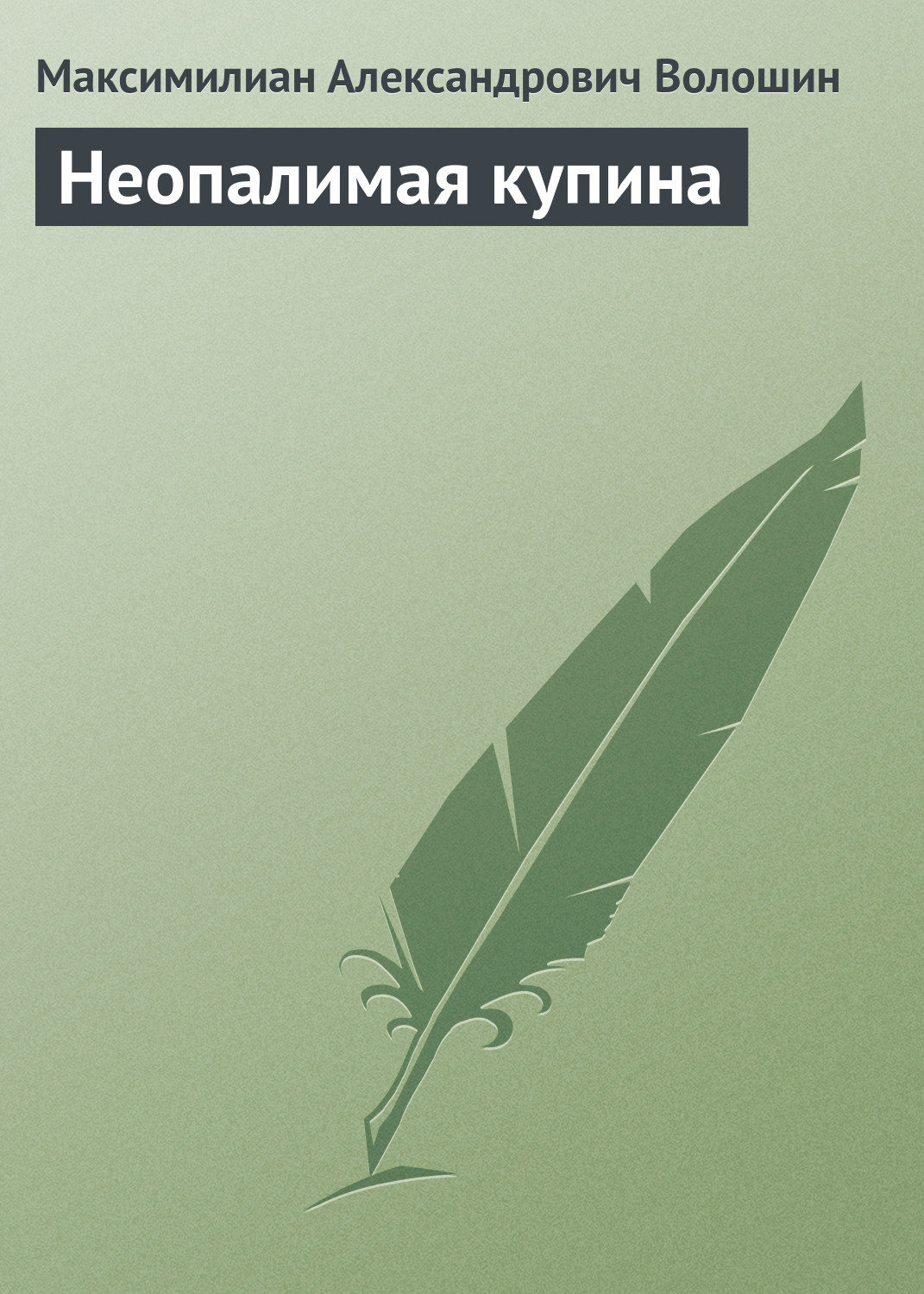 Обложка книги «Неопалимая купина»