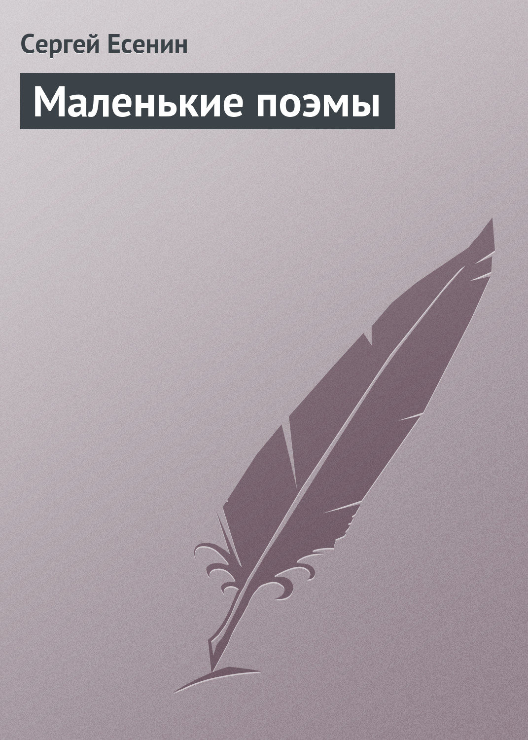 Обложка книги «Маленькие поэмы»
