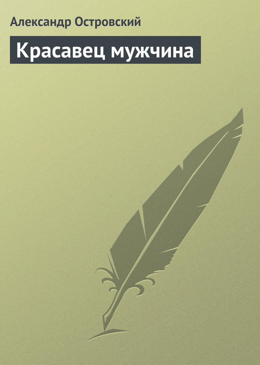 Обложка книги «Красавец мужчина»