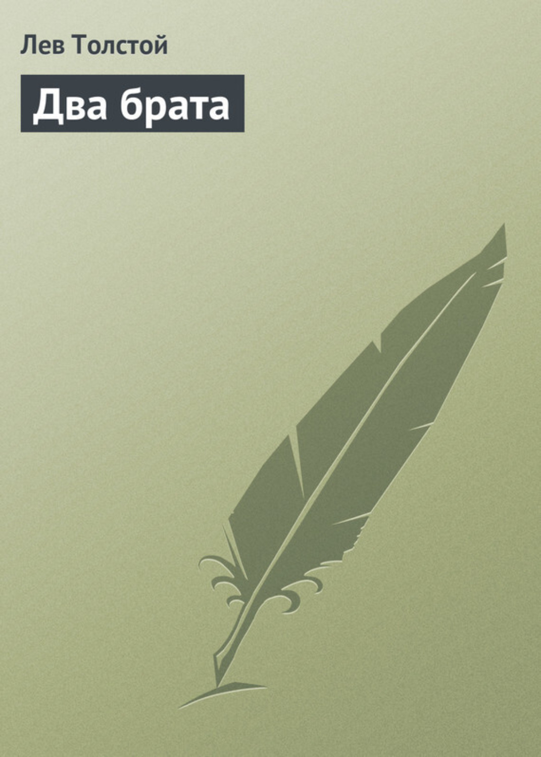 Обложка книги «Два брата»