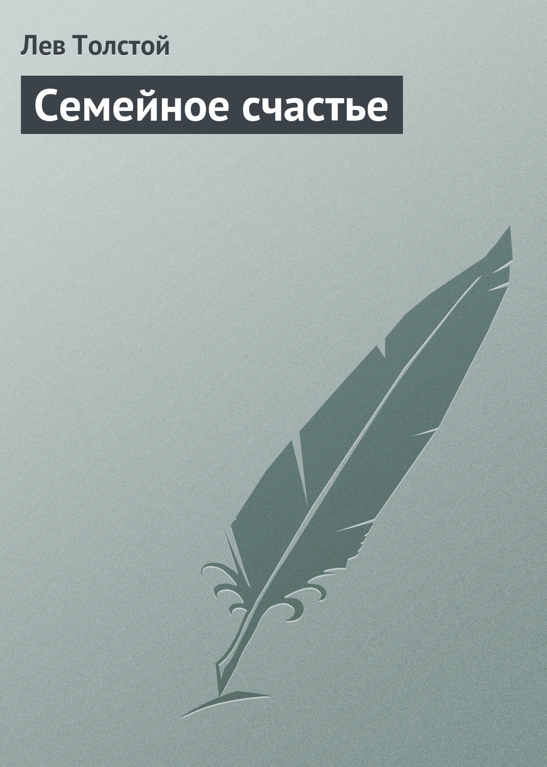 Обложка книги «Семейное счастье»