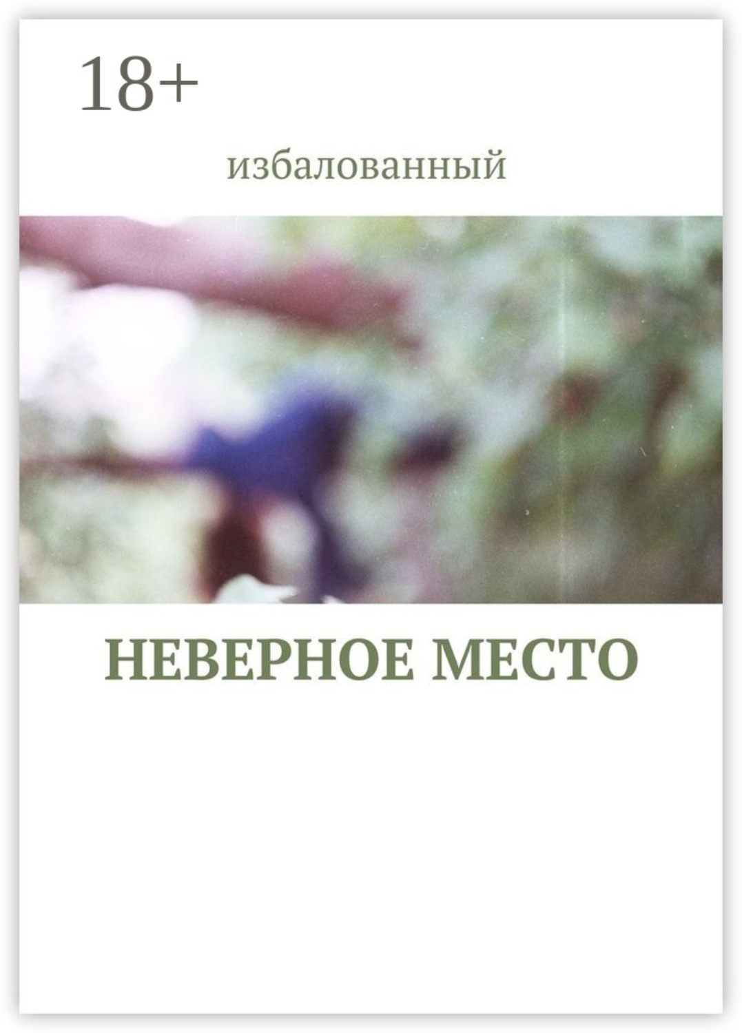 Обложка книги «неверное место»