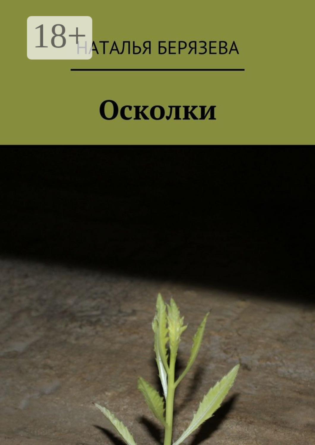 Обложка книги «Осколки. Истории, которые ранят»
