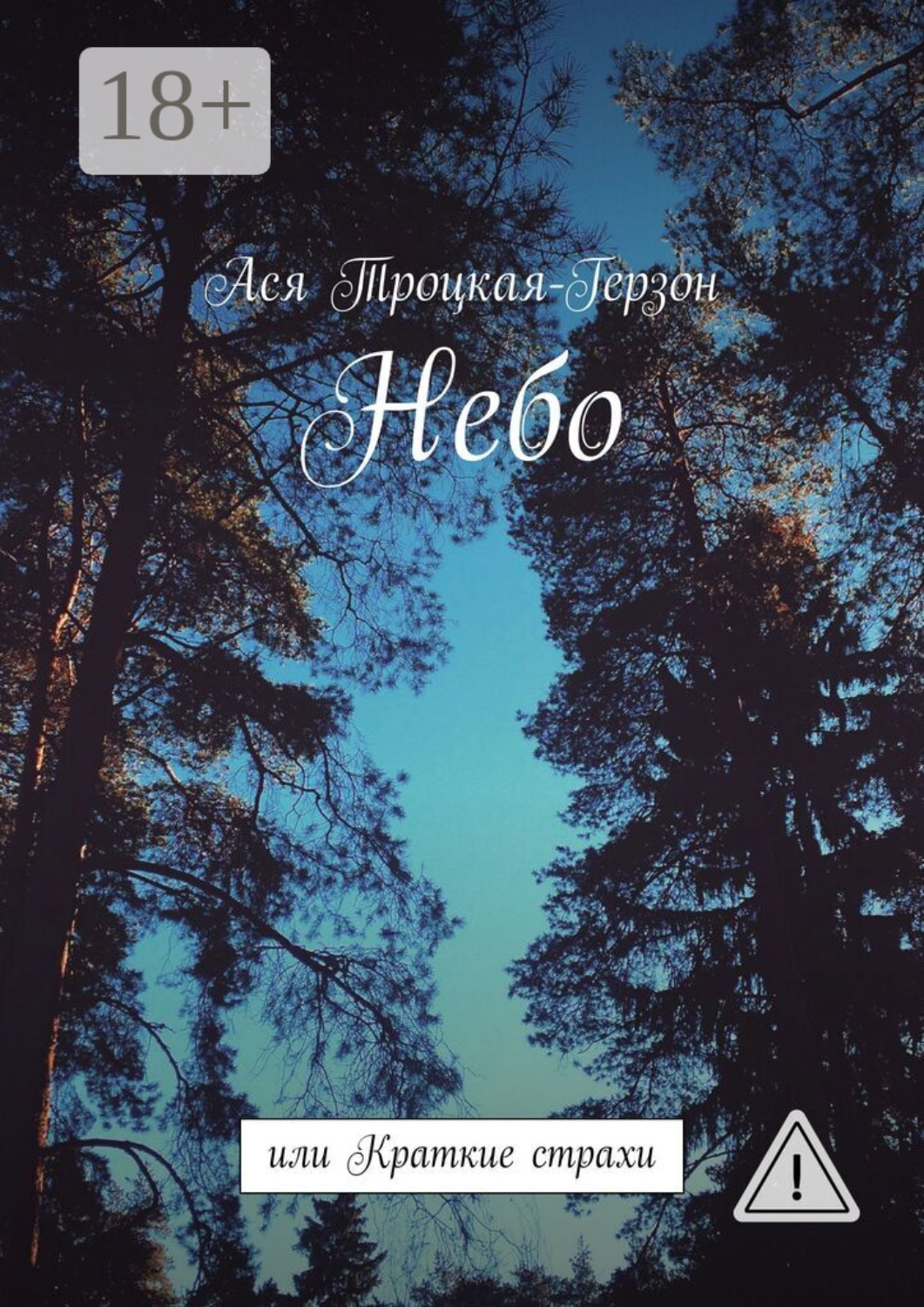 Обложка книги «Небо. или Краткие страхи»