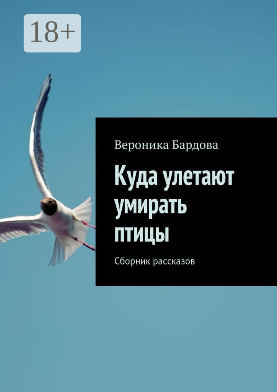 Обложка книги «Куда улетают умирать птицы. Сборник рассказов»