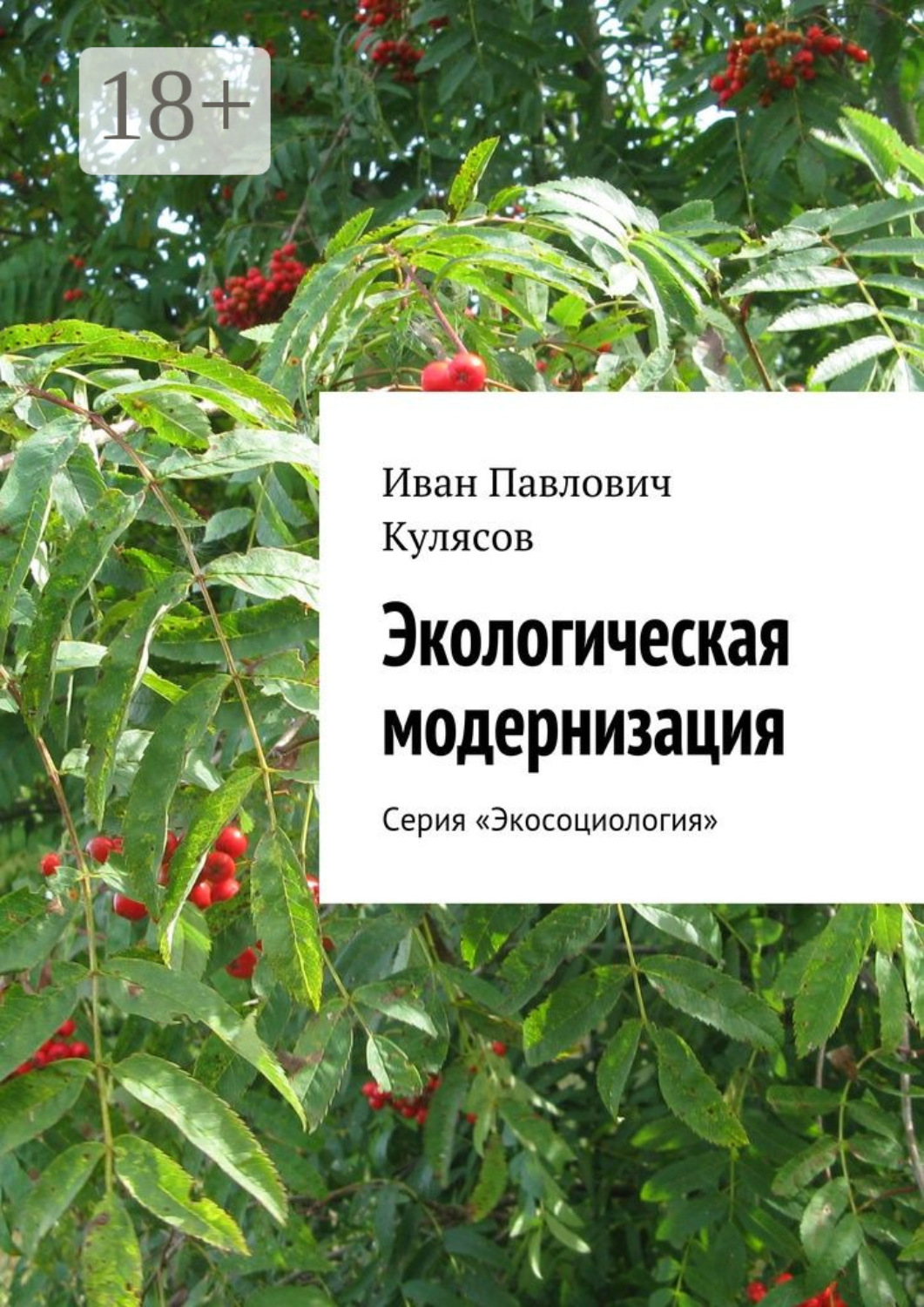 Обложка книги «Экологическая модернизация. Серия «Экосоциология»»