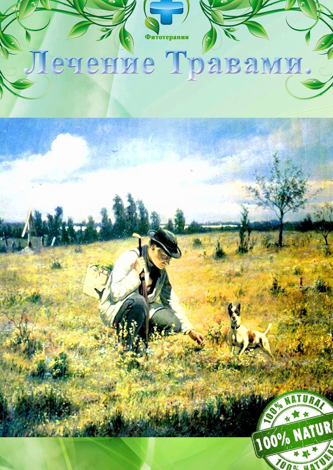Обложка книги «Лечение травами. Фитотерапия»