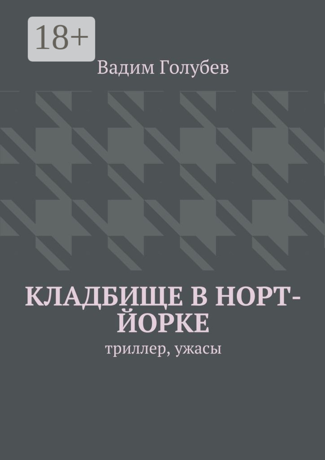 Обложка книги «Кладбище в Норт-Йорке. Триллер, ужасы»