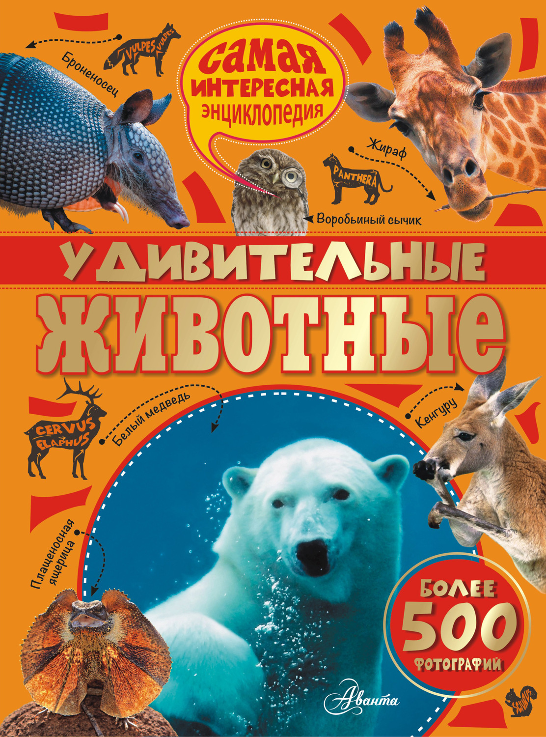 Обложка книги «Удивительные животные»