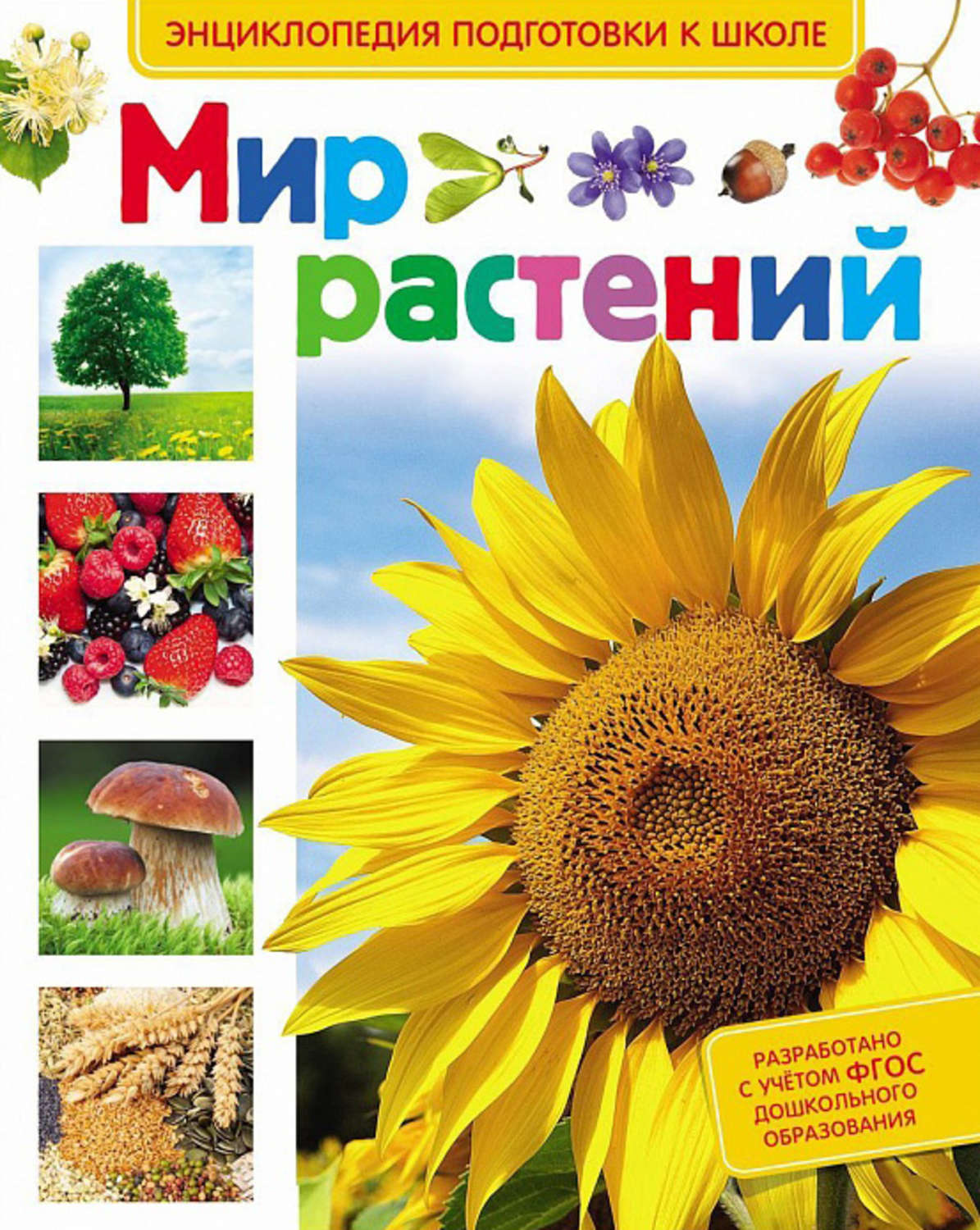 Обложка книги «Мир растений»