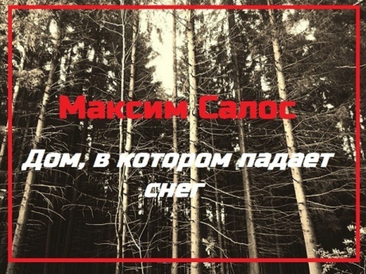 Обложка книги «Дом, в котором падает снег»